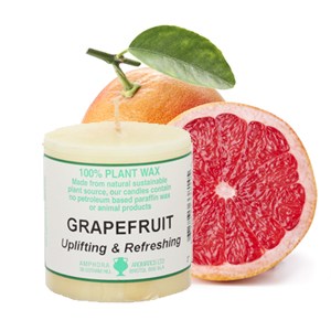 814_e.o. candle 2x2_grapefruit_300x300.jpg